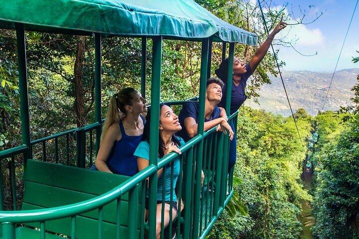 St. Lucia Zip Line, Aerial Tram and Hiking Adventure