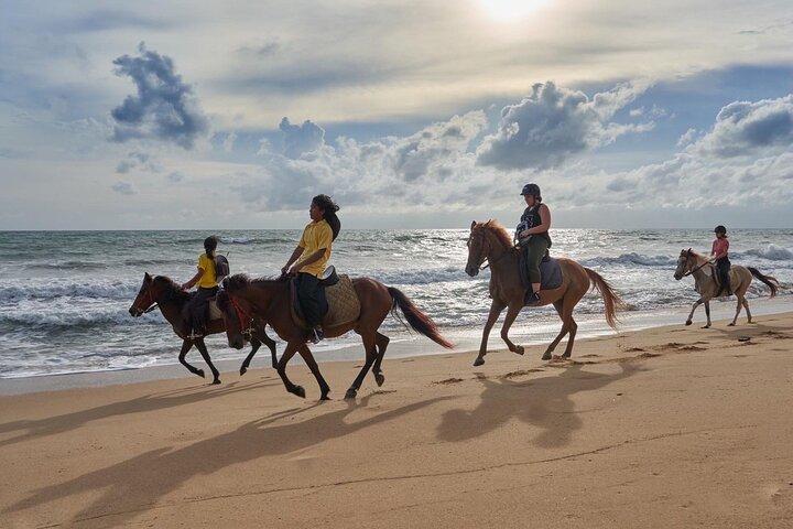 Beach Horse Riding Activity in Phuket