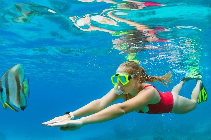 Boatride & Snorkeling then Margaritaville Hipstrip Activity