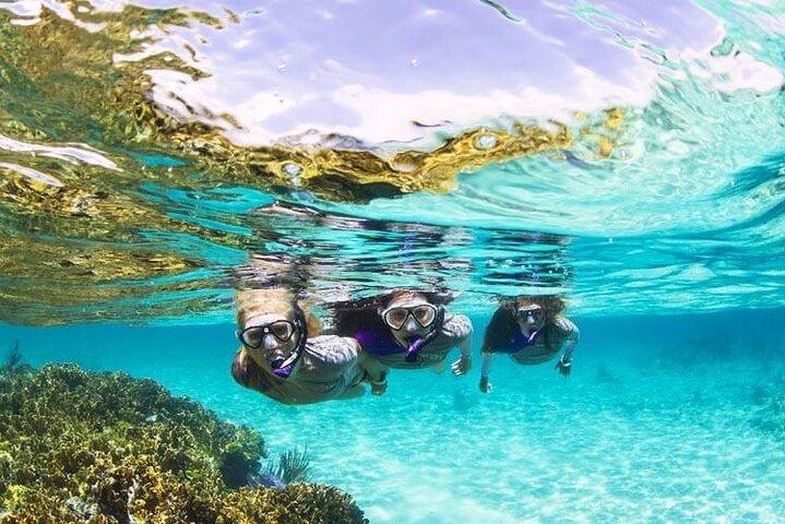 Boatride & Snorkeling then Margaritaville Hipstrip Activity