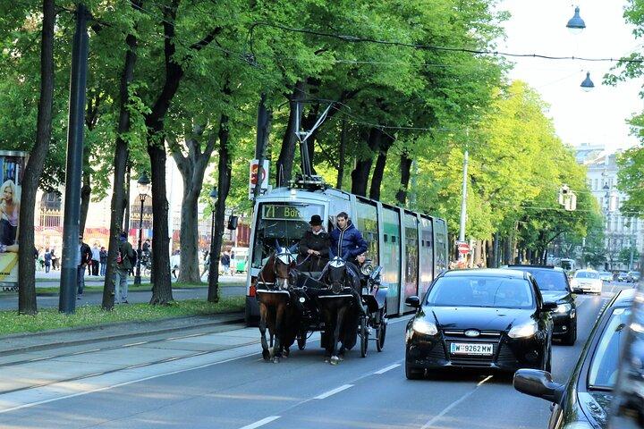 Private Vienna Sightseeing Tour matching to personal interests