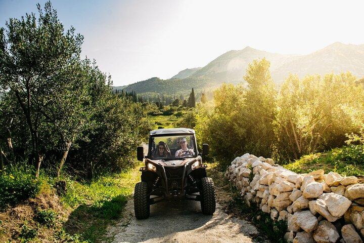 Buggy Dubrovnik Safari Tour (Private)
