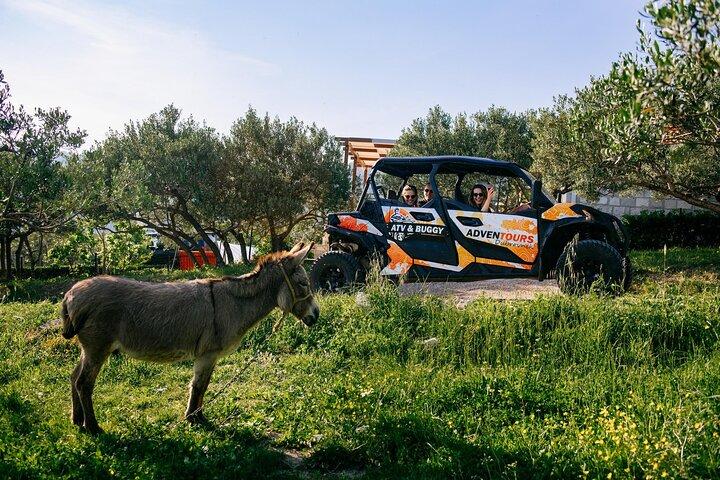 Buggy Dubrovnik Safari Tour (Private)