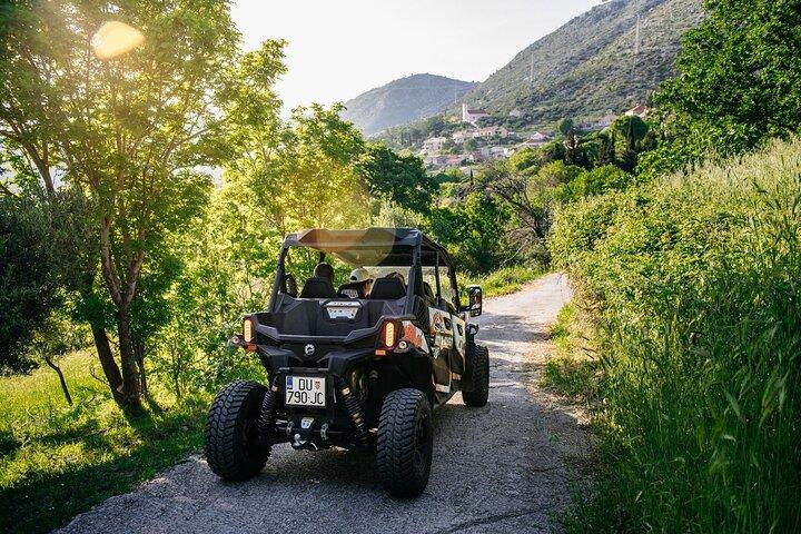 Buggy Dubrovnik Safari Tour (Private)
