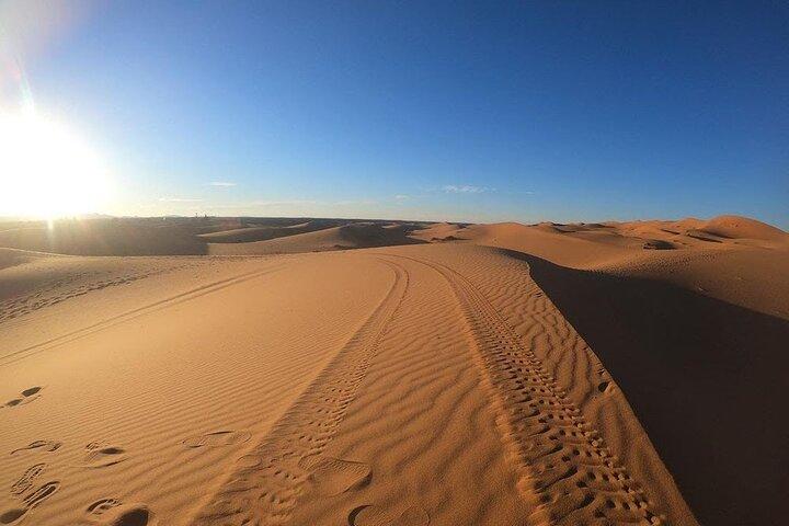 Sahara ATV Quad & buggy in Merzouga Desert & Sandboarding