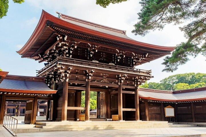 Tokyo: Private Customize Day Tour With Hotel Transfer