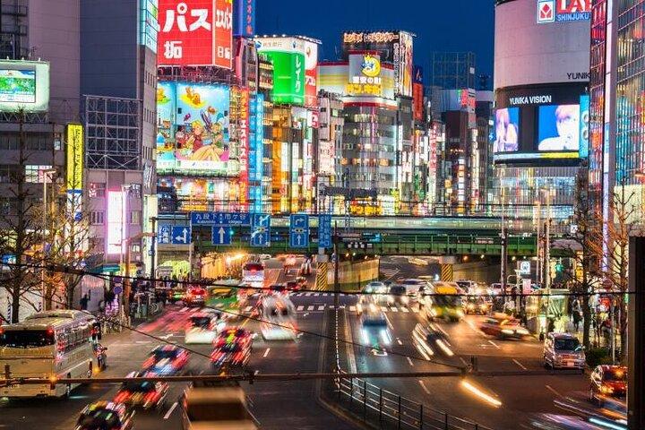 Tokyo: Private Customize Day Tour With Hotel Transfer