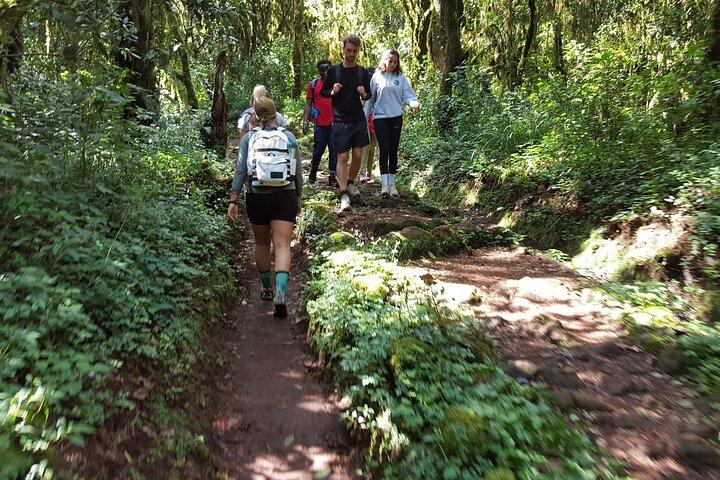 7-Day Mountain Climbing in Machame Route