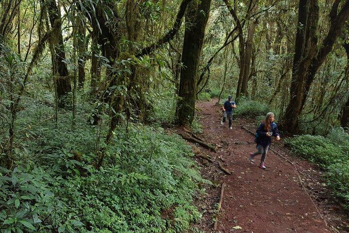 7-Day Mountain Climbing in Machame Route