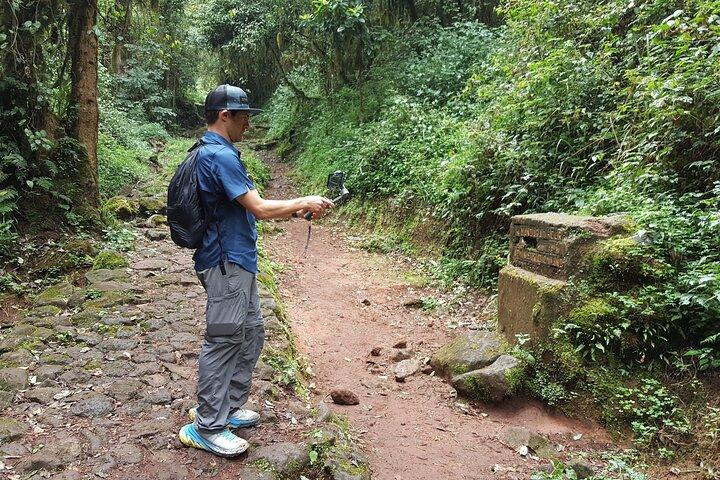 7-Day Mountain Climbing in Machame Route