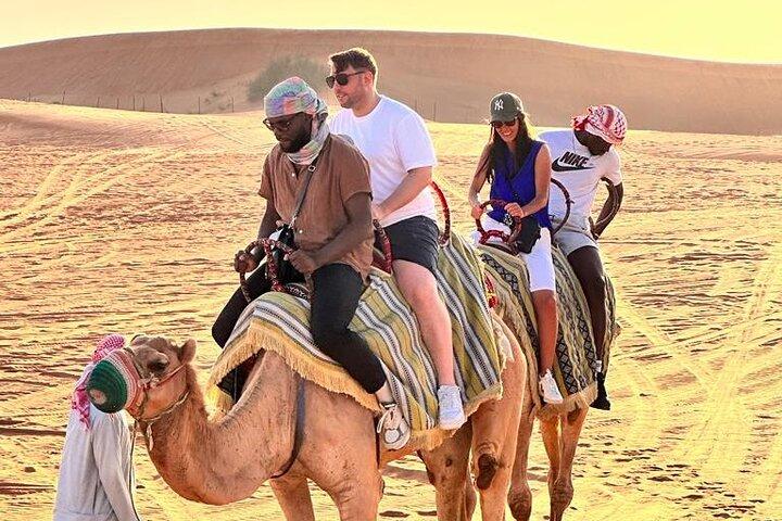 Dubai Red Desert Safari sharing basis with Camel, Shows & Dinner