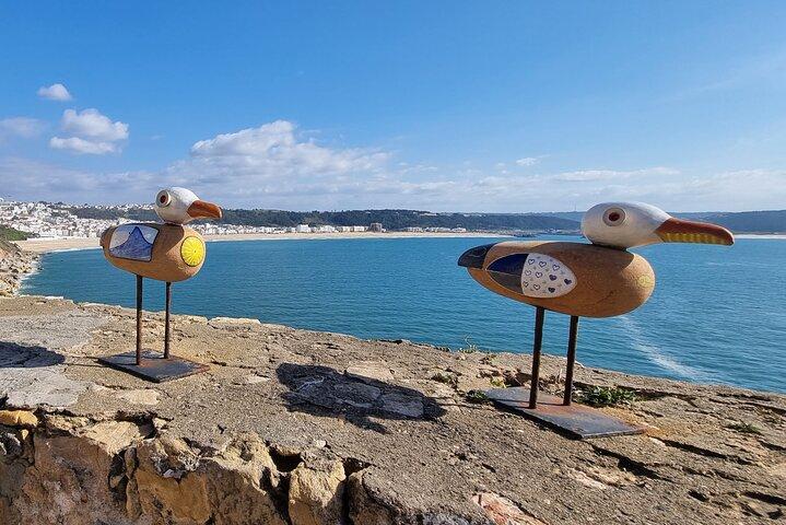 Tranquility to Thrills: Obidos,Alcobaca and Nazare Private Tour
