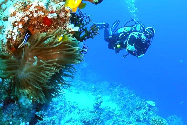 10 Days Luxury Journey in Egypt