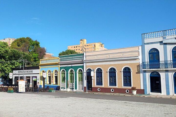 Meeting of the Waters and Amazonas Opera House - Half Day Tour