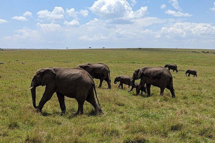 3 Days and 2 Nights Private Safari Tour To MasaiMara