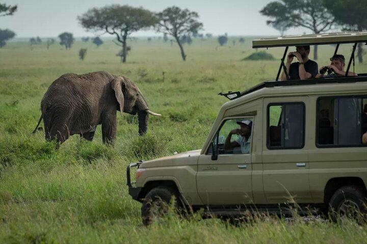 Full Day Trip Tarangire National Park