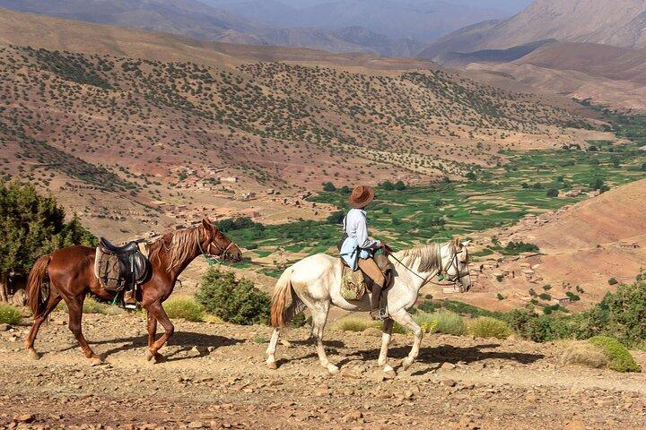 Enjoy a Scenic Horseback Ride in the Marrakech Atlas Mountains