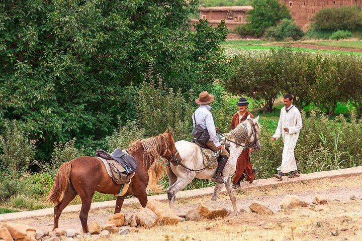 Enjoy a Scenic Horseback Ride in the Marrakech Atlas Mountains