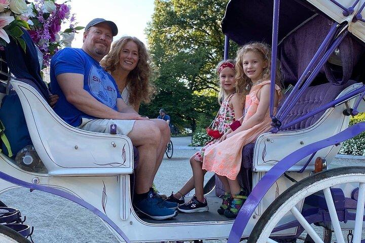 NYC Central Park Horse Carriage Rides