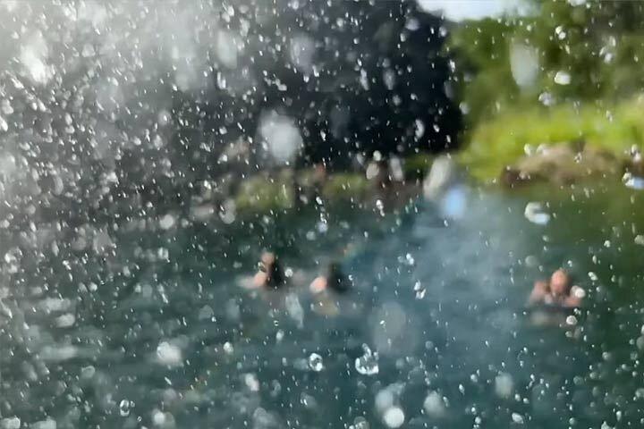 Waimea Valley Waterfall Swim & Dole Plantation Tour with Lunch