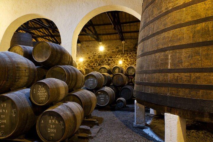 Porto Private Day Trip from Lisbon by Mercedes