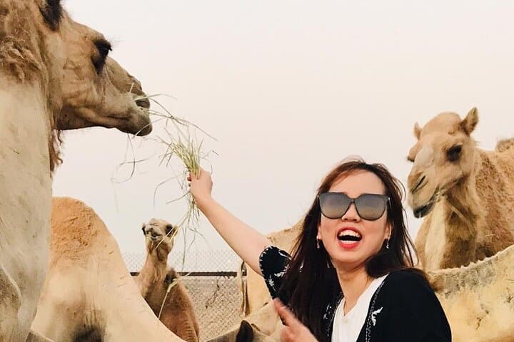 Morning Red Dune Safari with Sandboarding and Camel Ride