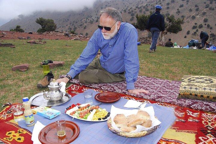 One Day Trip to the Atlas Mountains with a Lunch