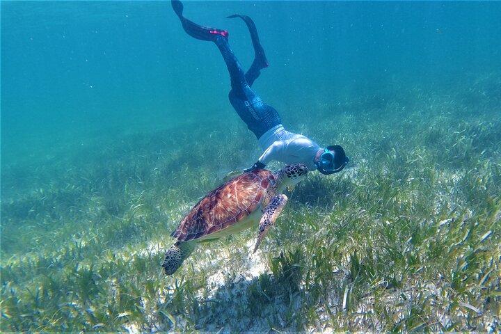 3 Hour Costa Maya Snorkeling Excursion - La Leyenda ECO-TOURS