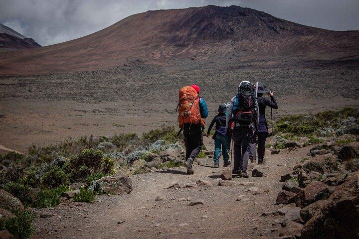 6 Days MARANGU ROUTE (Kilimanjaro Trekk)
