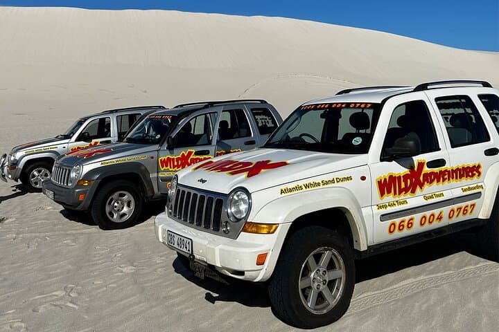 Glam Sandboarding in Cape Town Atlantis White Sand Dunes
