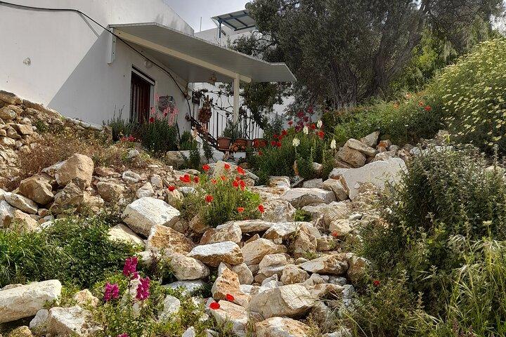 Riverbank Adventure in Naxos (Kinidaros - Eggares)