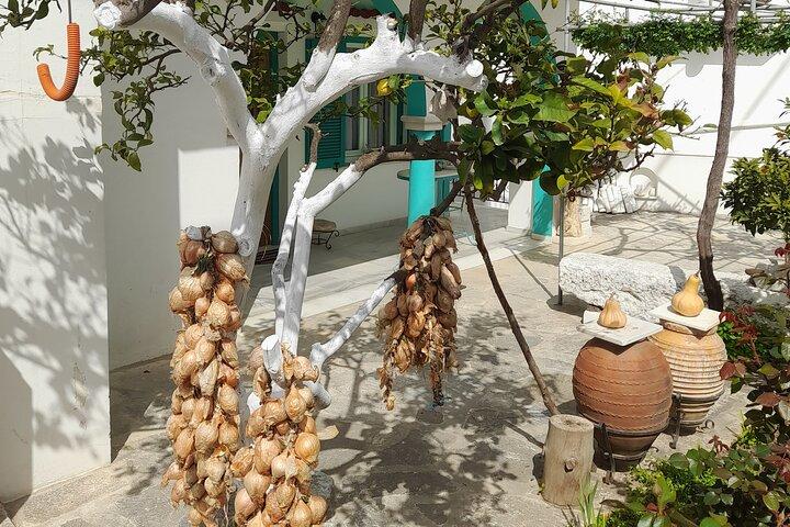 Riverbank Adventure in Naxos (Kinidaros - Eggares)