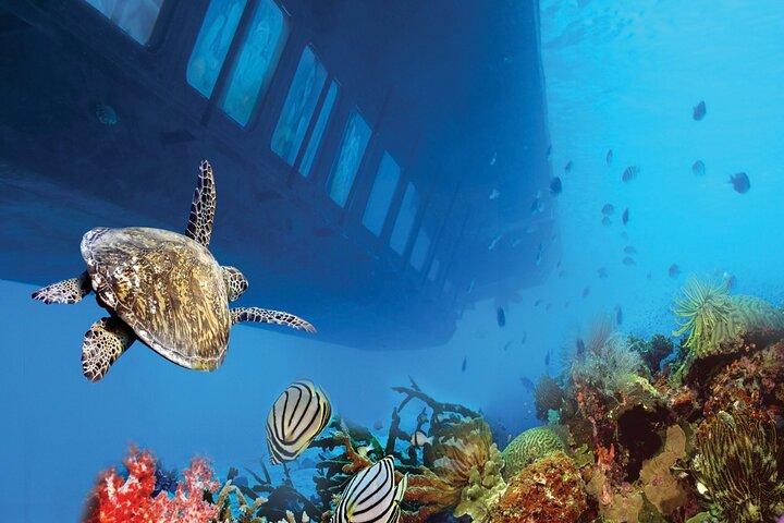Safaga & Makadi Bay: Royal Seascope Submarine cruise with pickup