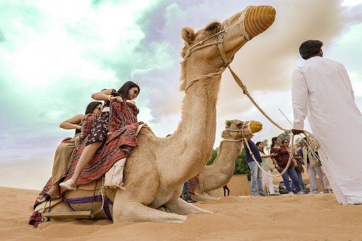 Evening Desert Safari Dubai with BBQ Dinner & Shows