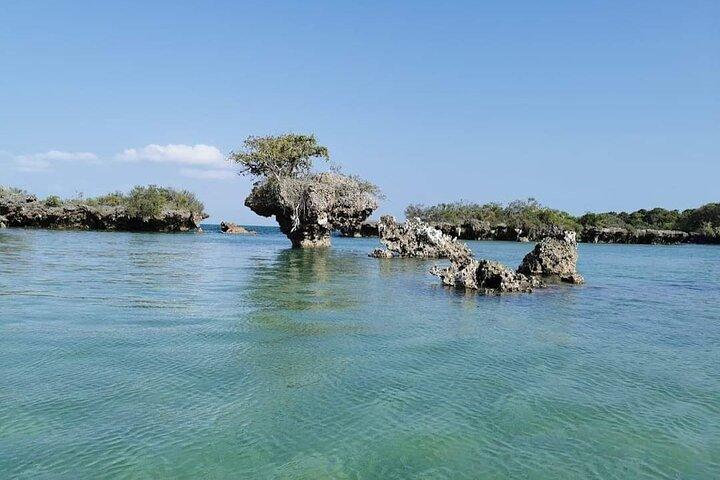 Blue Safari Zanzibar Full Day Trip