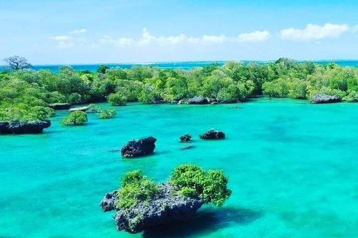 Blue Safari Zanzibar Full Day Trip