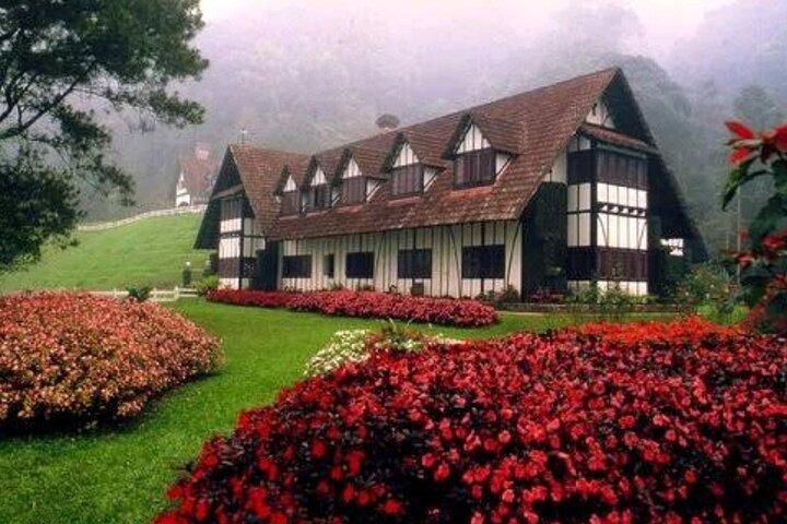 Private Full-Day Cameron Highlands Nature Tour from Kuala Lumpur