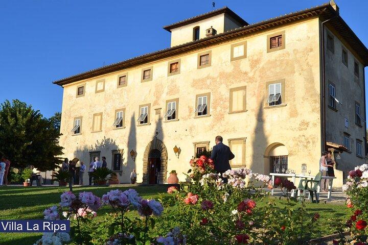 Tour of the vineyards and tasting of Evo wines and oil in Tuscany
