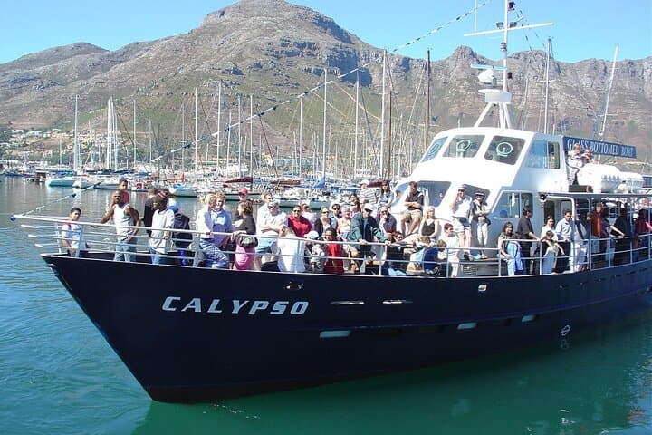 Cape of Good Hope & Penguins from Cape Town Full-Day Private Tour