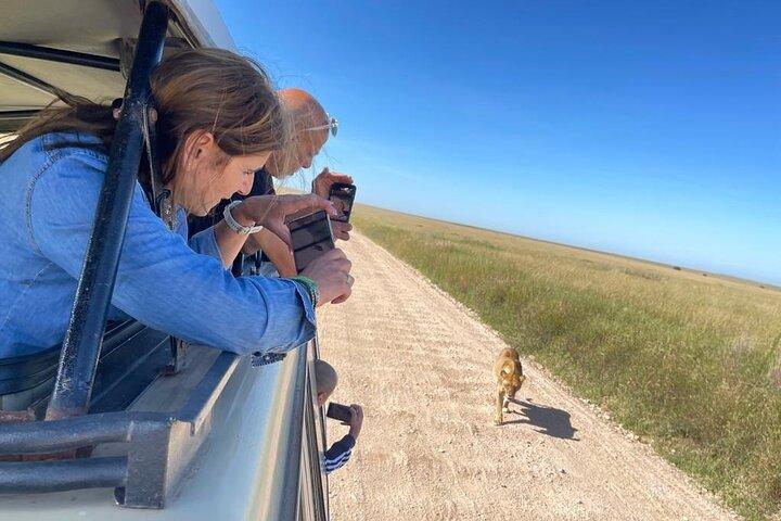 5 Days Private Safari Tour in Arusha and Tanzania