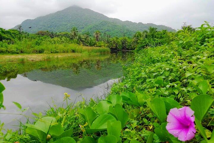 Private Tayrona Park Hike to Cabo San Juan