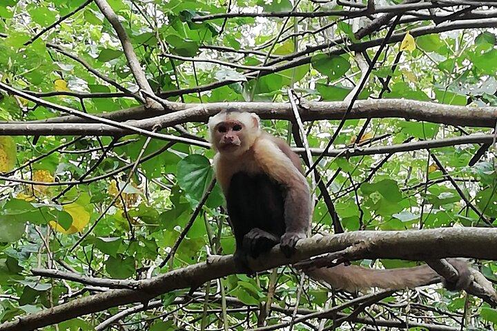 Private Tayrona Park Hike to Cabo San Juan