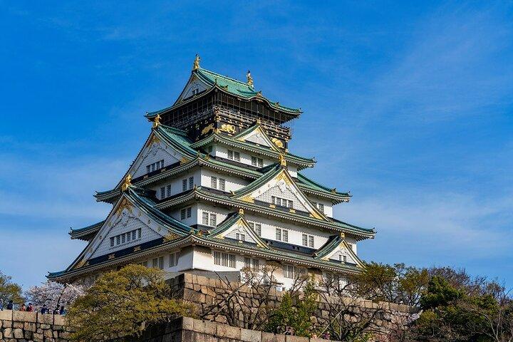 Explore Osaka Hotspots in 1 Day Walking Tour from Osaka