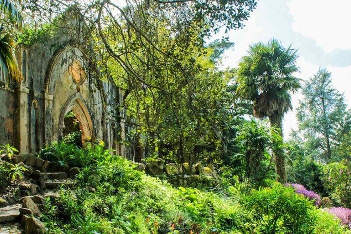 Private and Exclusive Luxury Tour, Sintra and Cascais