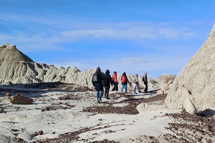Discover La Leona Petrified Forest: Guided Hiking Tour
