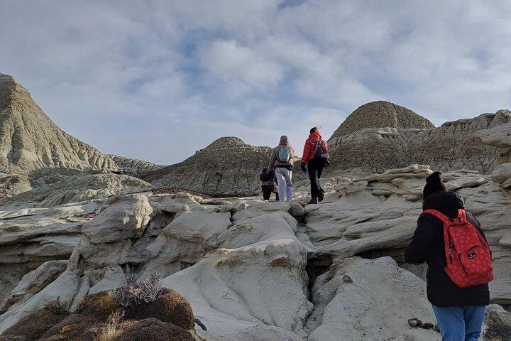 Discover La Leona Petrified Forest: Guided Hiking Tour