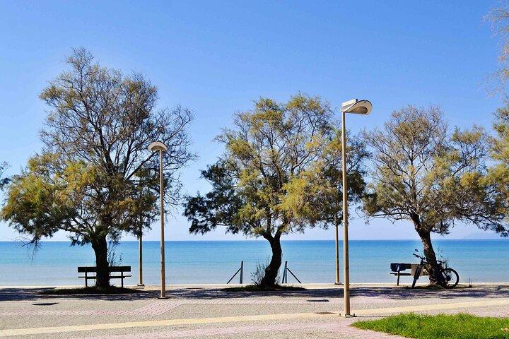 Katakolo to Kourouta Beach and back : Private Transfer