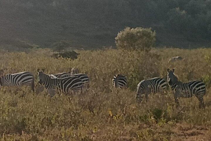 Day tour to Hell's Gate National Park and Lake Naivasha