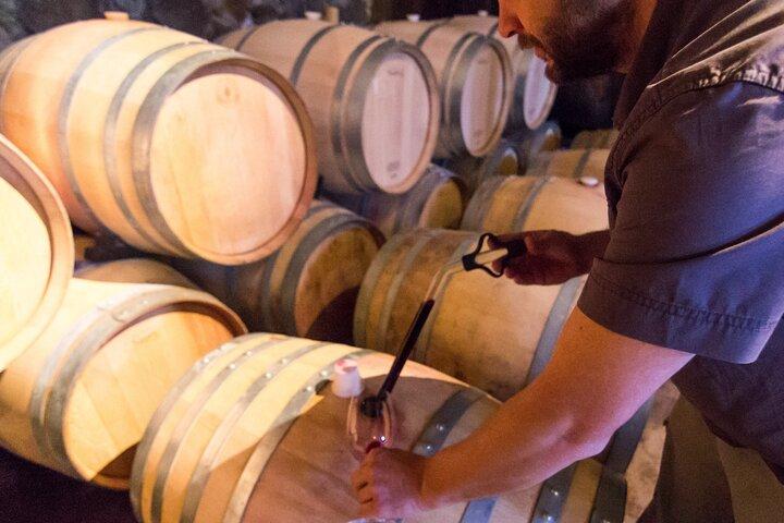 Uco Valley Wine Experience - Private - The Best Wine Tour & Lunch
