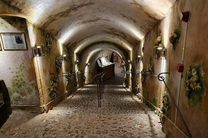 Santorini Wine Tasting and Wine Museum